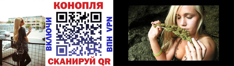ГАШ Богородицк