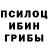 Псилоцибиновые грибы прущие грибы Marindays live