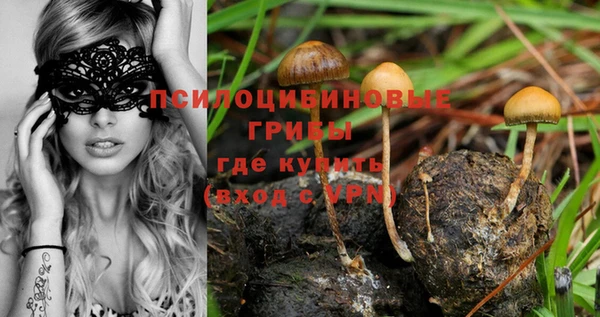 прущие крисы Абаза