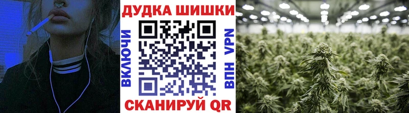 Бошки Шишки семена  shop формула  Богородицк  купить наркотики сайты 